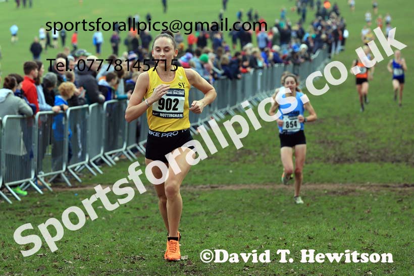 Senior Women, 2024 CAU Inter Counties Cross Country Champs., Wollaton Park, Nottingham. Photo: David T. Hewitson/Sports for All Pics